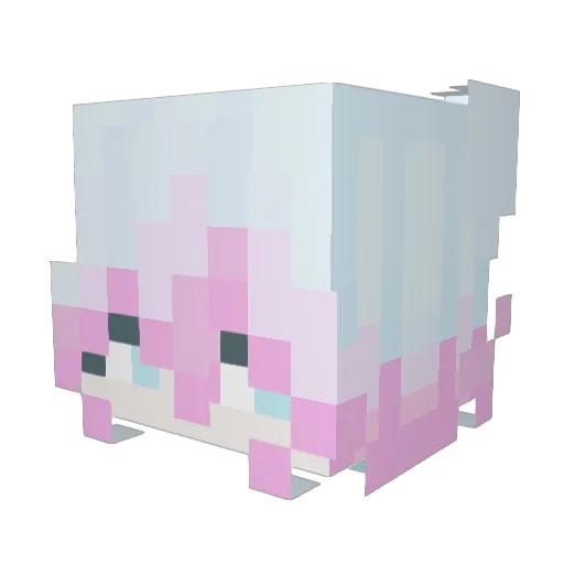 tornjester Minecraft avatar head, 3D render