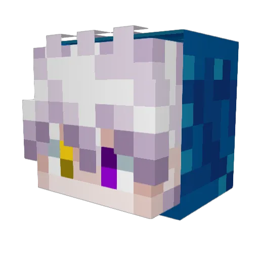torotoro1217 Minecraft avatar head, 3D render