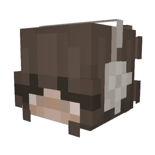 torri512 Minecraft avatar head, 3D render