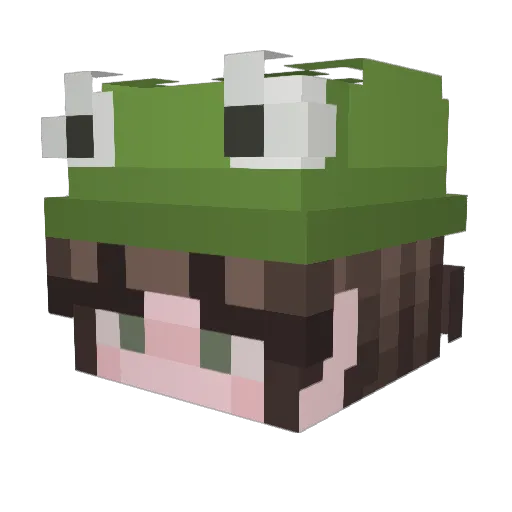torrrri Minecraft avatar head, 3D render