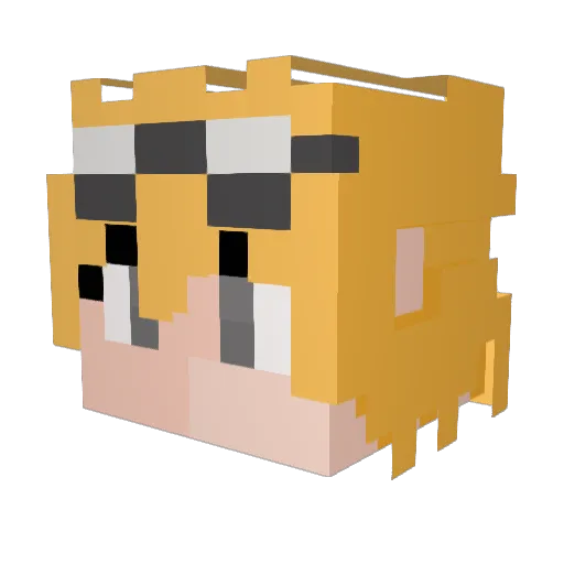 torte1447 Minecraft avatar head, 3D render