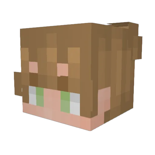 tortilein Minecraft avatar head, 3D render