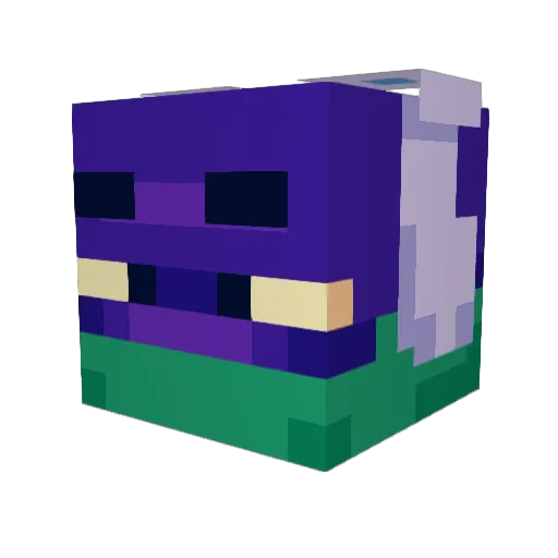 tortuNOOB Minecraft avatar head, 3D render
