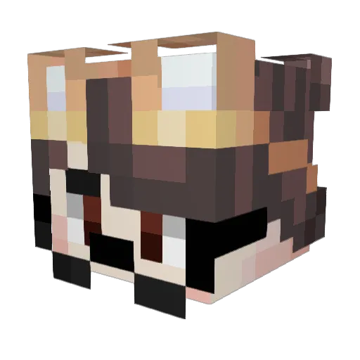 tortu_xD Minecraft avatar head, 3D render