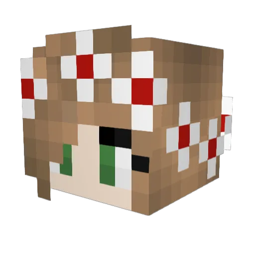 tortue_ Minecraft avatar head, 3D render