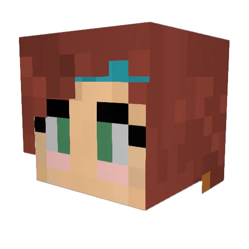 tortuga2 Minecraft avatar head, 3D render