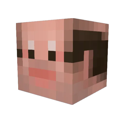tortuga_leon Minecraft avatar head, 3D render