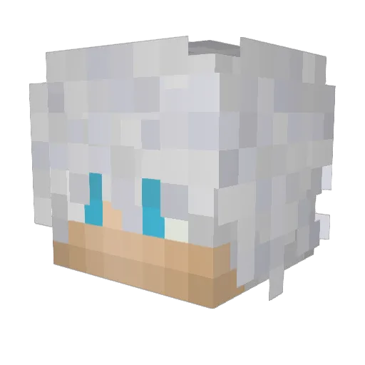 toruku3 Minecraft avatar head, 3D render