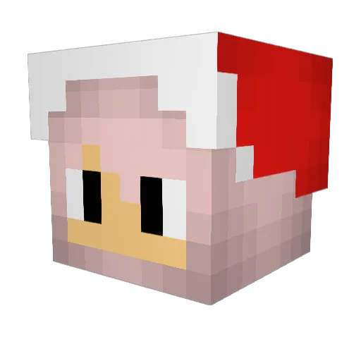 tosamon Minecraft avatar head, 3D render