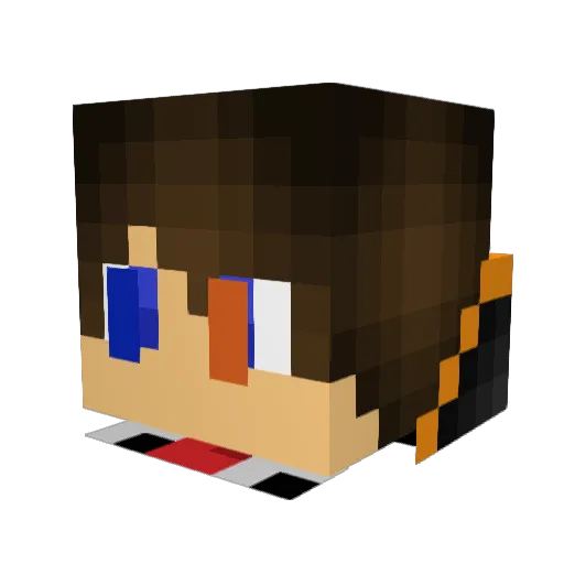 toster234 Minecraft avatar head, 3D render