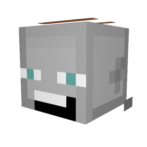 tosterKerch Minecraft avatar head, 3D render