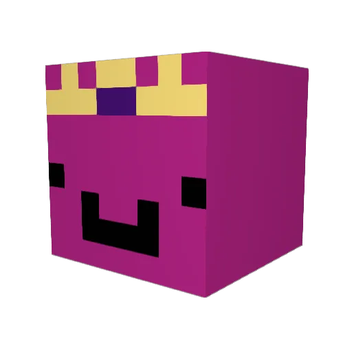 tostgaming123 Minecraft avatar head, 3D render
