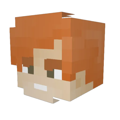 tostik22111 Minecraft avatar head, 3D render