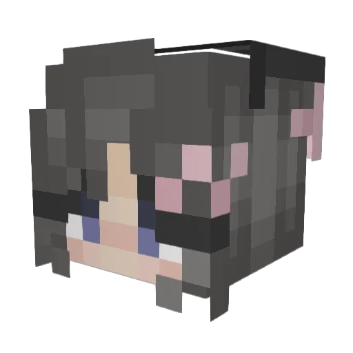 tostitorat Minecraft avatar head, 3D render