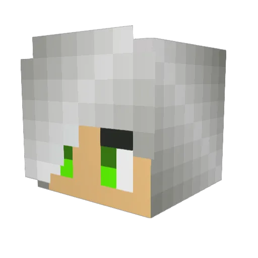 totalcool9 Minecraft avatar head, 3D render