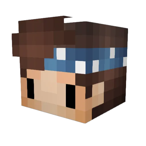 totallyHim Minecraft avatar head, 3D render
