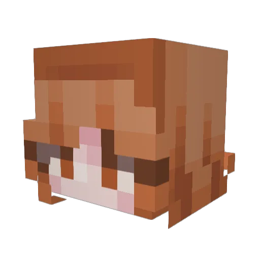 totallykam Minecraft avatar head, 3D render