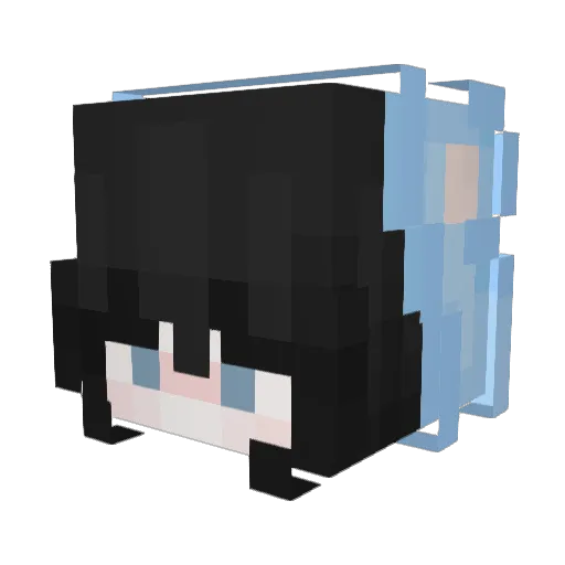 totallynay Minecraft avatar head, 3D render