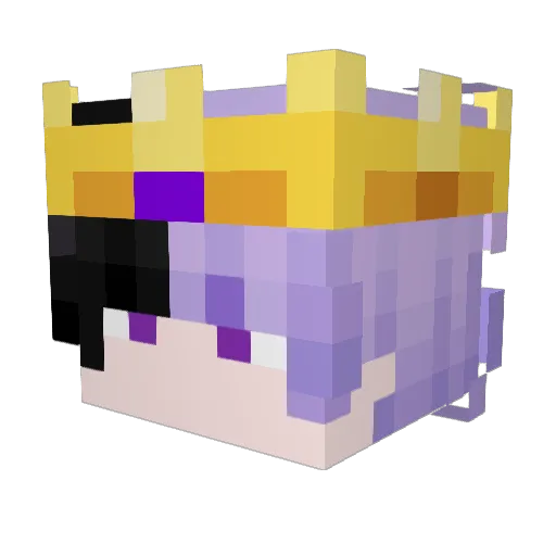 totalynotgoogs Minecraft avatar head, 3D render