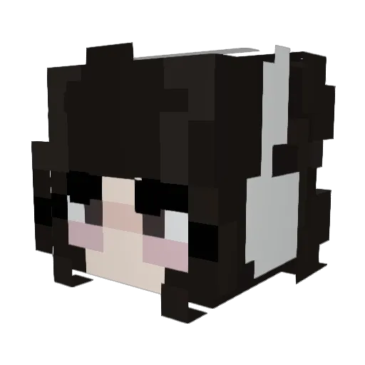 totee456 Minecraft avatar head, 3D render