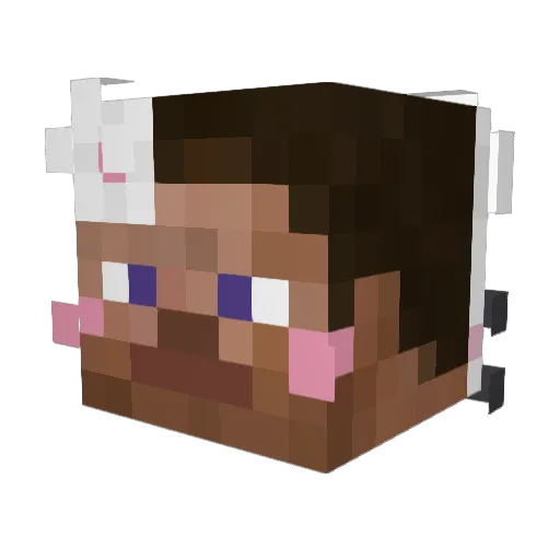 toten234 Minecraft avatar head, 3D render