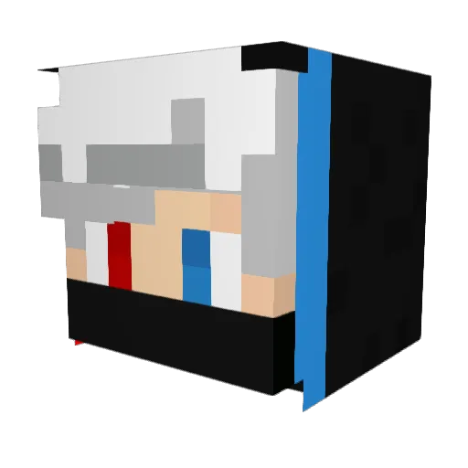 totesnotagirl Minecraft avatar head, 3D render