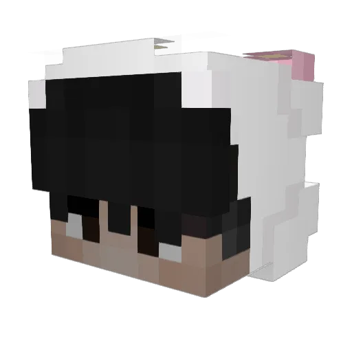 totgesagt Minecraft avatar head, 3D render