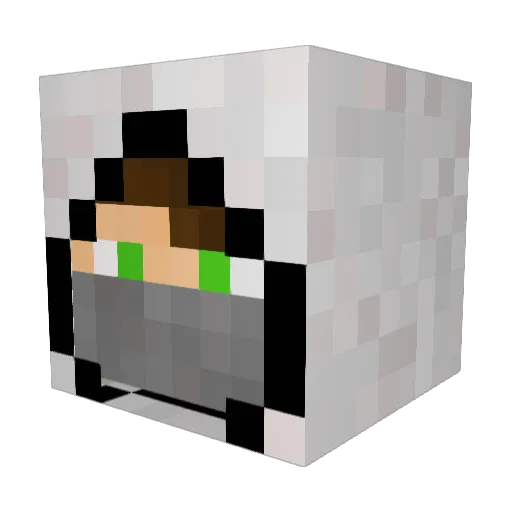 toto5246 Minecraft avatar head, 3D render