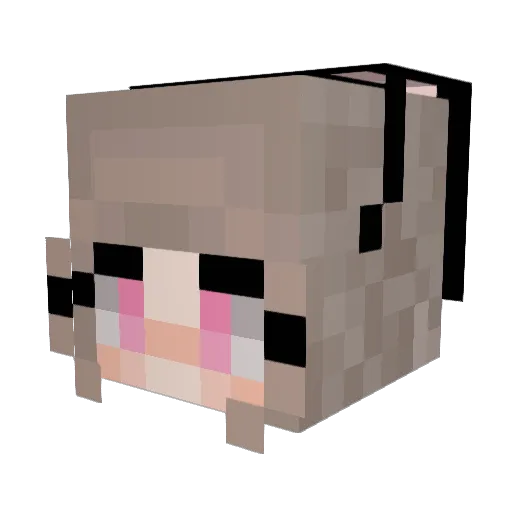totobaby Minecraft avatar head, 3D render