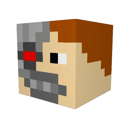 totom_1er Minecraft avatar head, 3D render