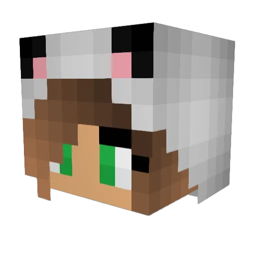 totonation Minecraft avatar head, 3D render