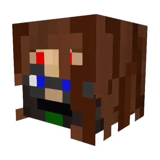 totoro76 Minecraft avatar head, 3D render