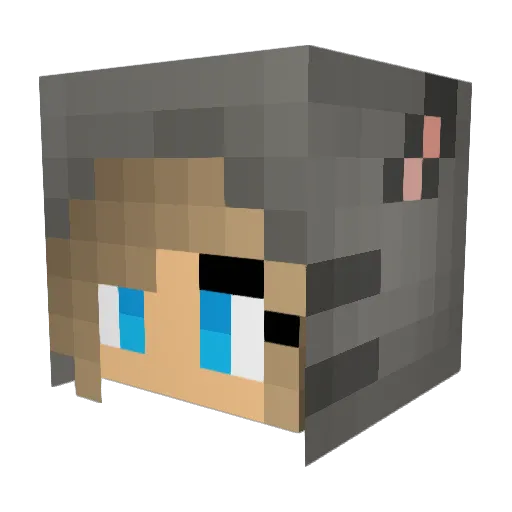 totorododu Minecraft avatar head, 3D render