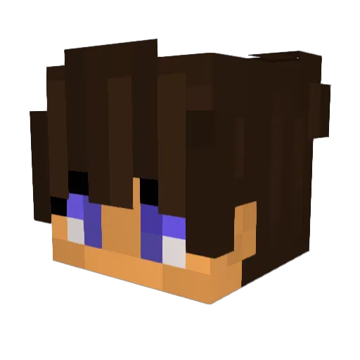 totototo3 Minecraft avatar head, 3D render