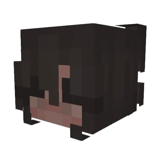 totou Minecraft avatar head, 3D render