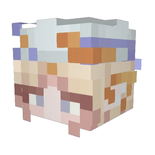 totsuzensh1 Minecraft avatar head, 3D render