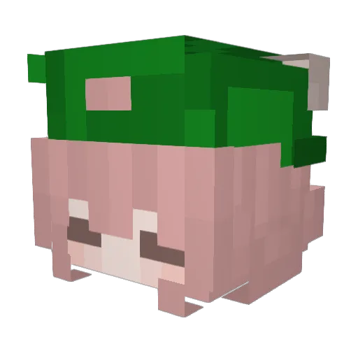 tottimomomo Minecraft avatar head, 3D render