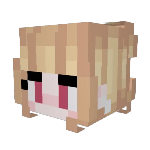 totylkoja73 Minecraft avatar head, 3D render