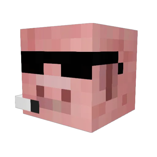 touchflip Minecraft avatar head, 3D render