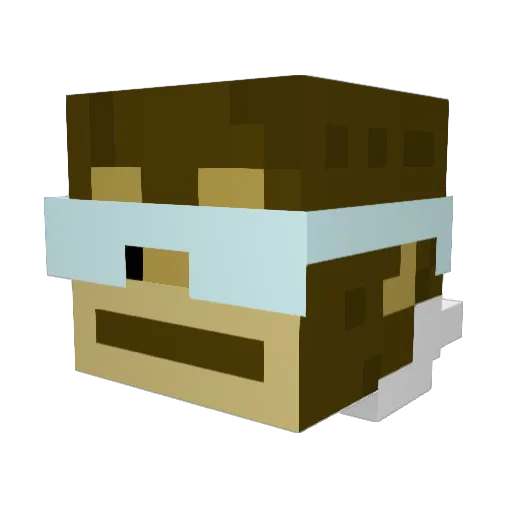touchingmyself Minecraft avatar head, 3D render
