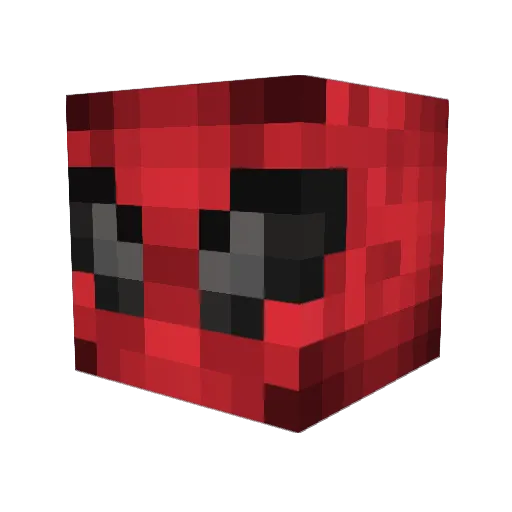 touchmenow Minecraft avatar head, 3D render