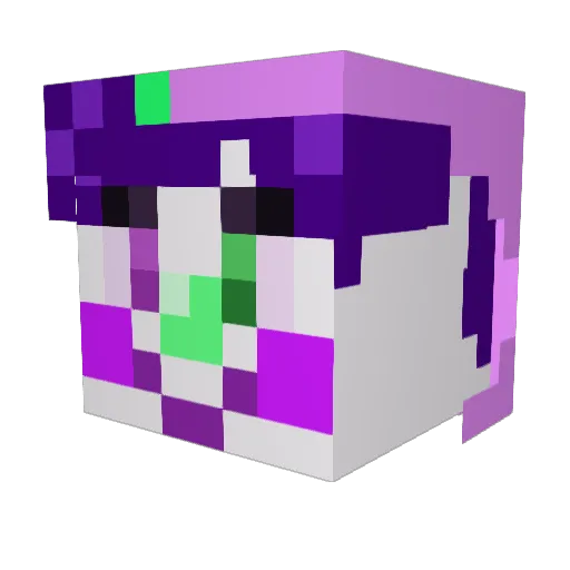 touchsomegrass Minecraft avatar head, 3D render