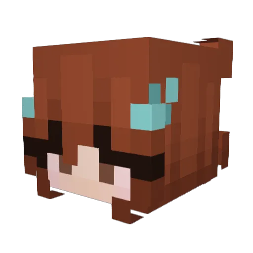 toucomfome Minecraft avatar head, 3D render