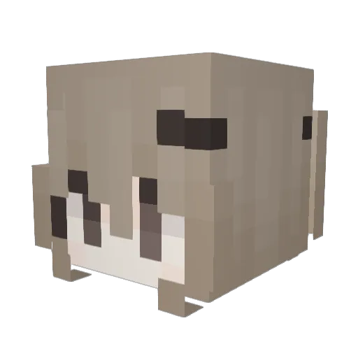 toufr Minecraft avatar head, 3D render
