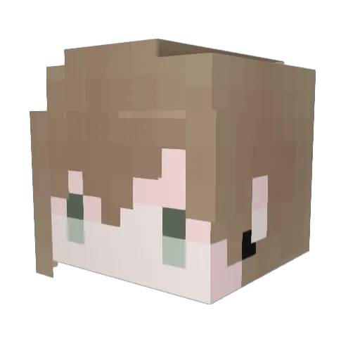 toujoh Minecraft avatar head, 3D render