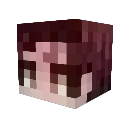 toukan123 Minecraft avatar head, 3D render