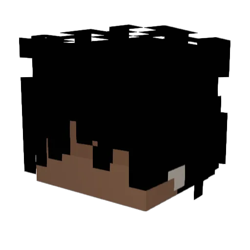 toumma Minecraft avatar head, 3D render