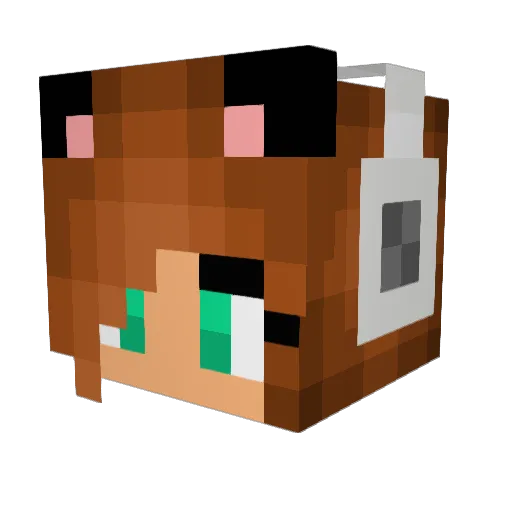 toun6 Minecraft avatar head, 3D render
