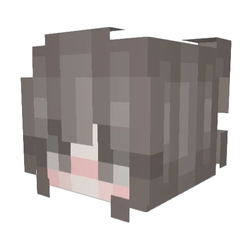 toushey Minecraft avatar head, 3D render
