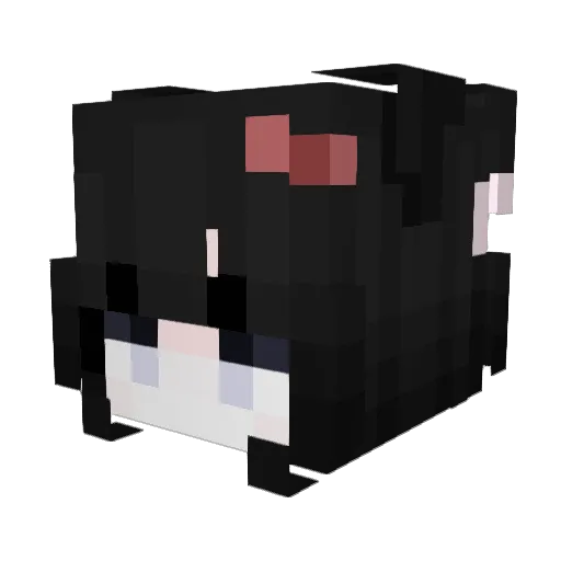 touua Minecraft avatar head, 3D render